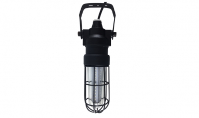Zone 1 Explosion Proof LED Drop Light - 360 Beam Angle - 30W